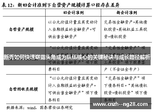 新秀如何快速崭露头角成为队伍核心的关键秘诀与成长路径解析