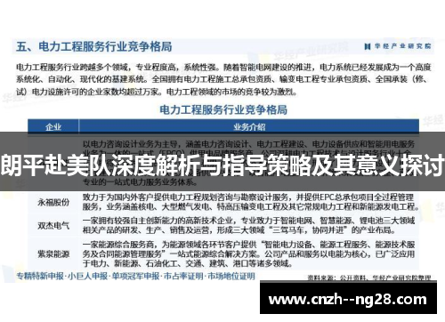 朗平赴美队深度解析与指导策略及其意义探讨