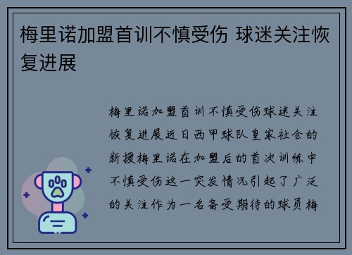 梅里诺加盟首训不慎受伤 球迷关注恢复进展 梅里诺加盟首训不慎受伤 球迷关注恢复进展